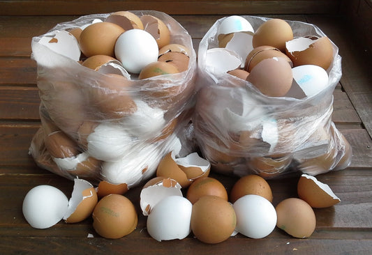 Tojáshéj: Egy Hasznos Természetes Anyag a Háztartásban és a Kertben